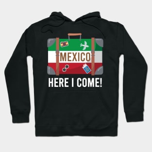 I love Mexico. Mexico flag suitcase travel design Hoodie